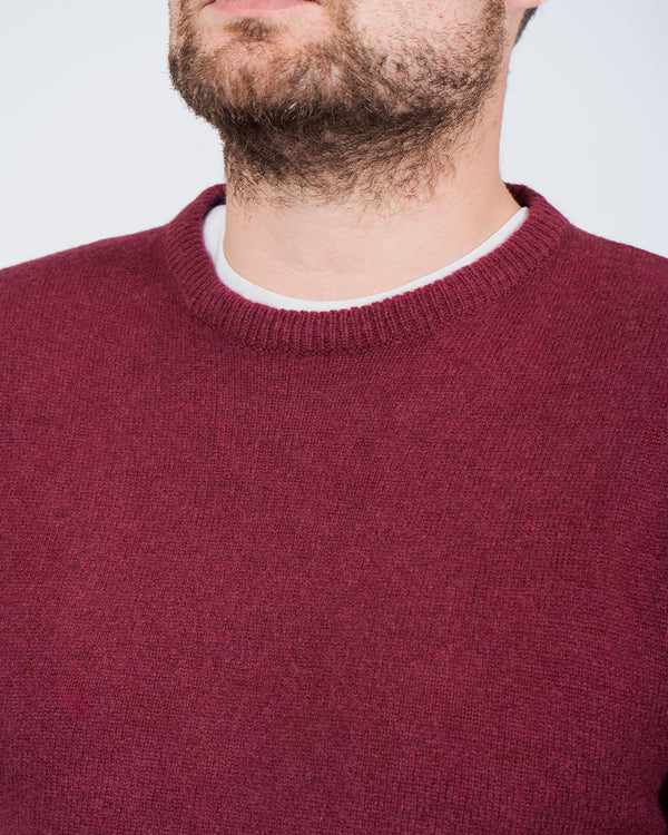 2t Tall Lambswool Crew Neck Jumper (ruby)