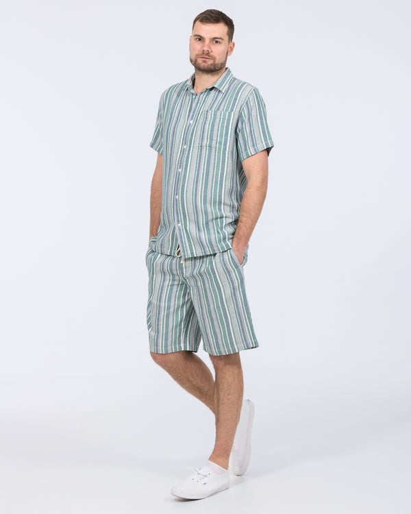 2t Greg Tall Short Sleeve Striped Shirt (green)