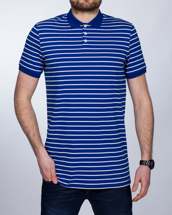 2t Slim Fit Tall Striped Polo Shirt (blue)