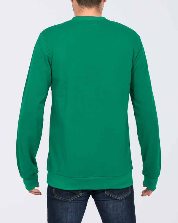 2t Dale Regular Fit Tall Sweatshirt (green)